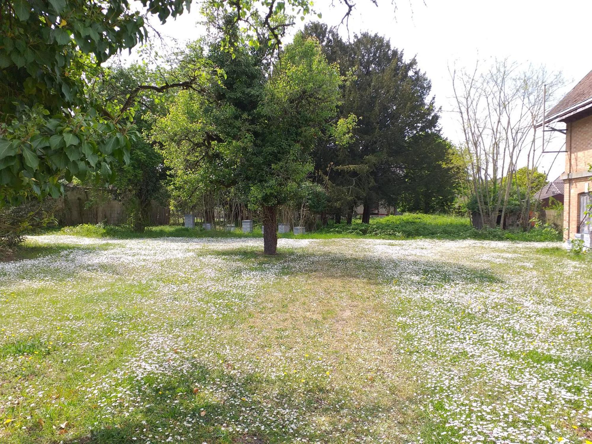 Charmante Maison Vitry-le-François 외부 사진
